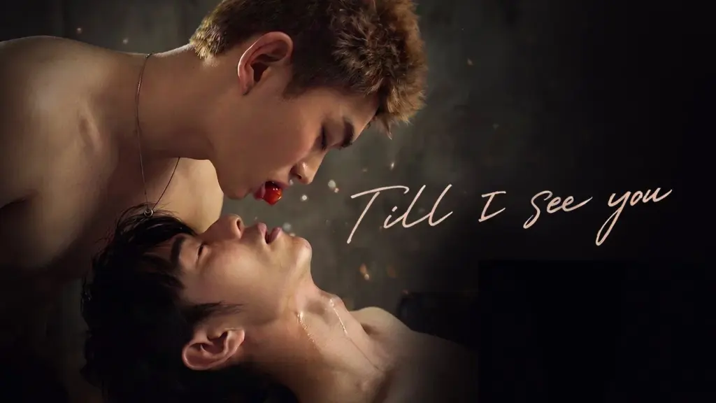 Till I See You (2026)